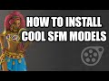 How to install SFM models