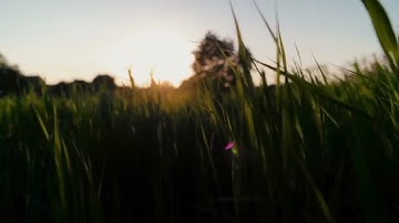 نماز فجر تلاوت قران كريم سعد أيوب #تلاوات #تلاوت #سعد #قرآن