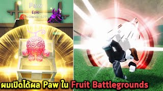 ผมเปิดได้ผล PAW หายากใน Roblox Fruit Battlegrounds