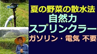 自然の力でスプリンクラー　ガソリン、電気不要！　夏の野菜の水やりどうする？