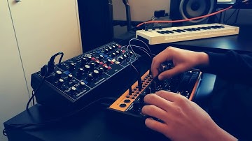 Cinematic Improvisation // Behringer Model D + Crave