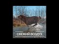 Bosch Country Meat-Snack - Беззерновые монопротеиновые мясные лакомства.