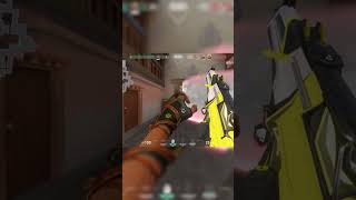 Raze Pro Max (Part 43)