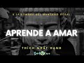 El amor es la clave: Aprendiendo a amar desde el corazón #thichnhathanh