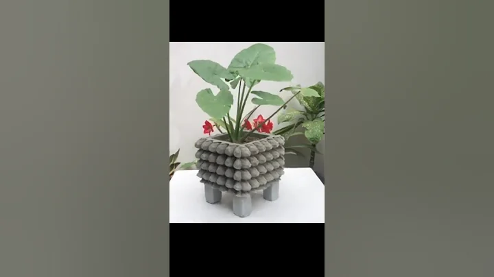 DIY Cement Flower Pot | Easy & Stylish Planter Ideas for Your Garden.