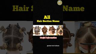 All Hair Section Names Hair Section Hair Section Hair Videos Hair Education Salon