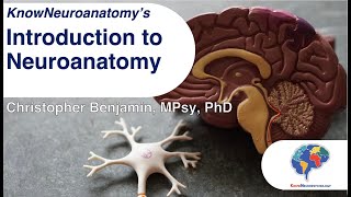 Introduction to Neuroanatomy