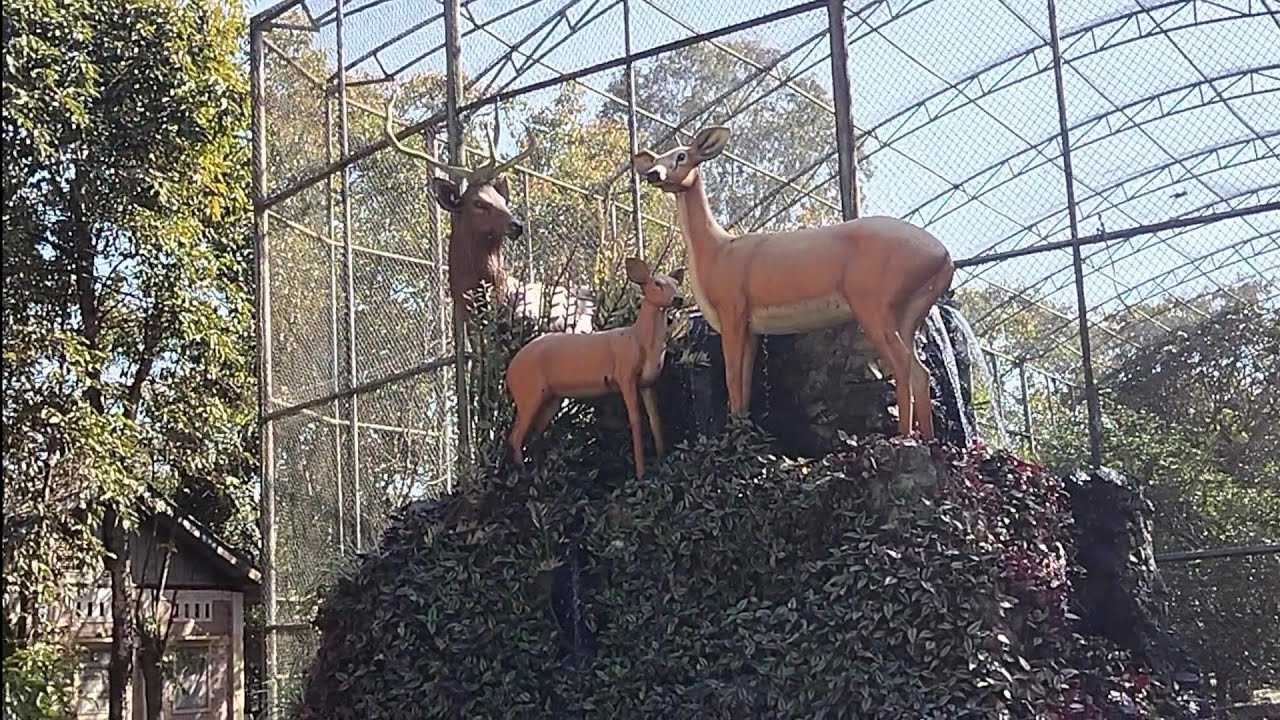 Zoo da chatlure # manipur 