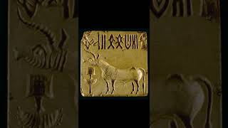 Indus Valley: Lost Secrets of an Ancient Civilization #history #facts #education #ancienthistory