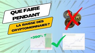 Tu as RATÉ le BULLRUN CRYPTO ? Regarde CETTE VIDÉO !