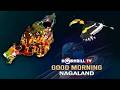 MORNING PULSE || 20th FEBRUARY 2026 || HORNBILL TV