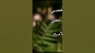 مرت على الخفاشي ملكة الفراشي 