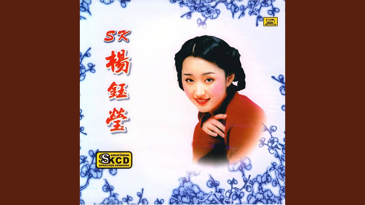 天各一方 (新编曲版)