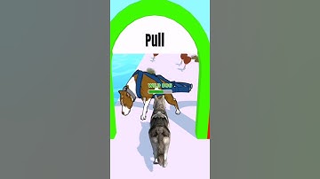 Doggy run gameplay walkthrough 🐕🥰 | All levels | android, iOS mobile | New update #shorts games