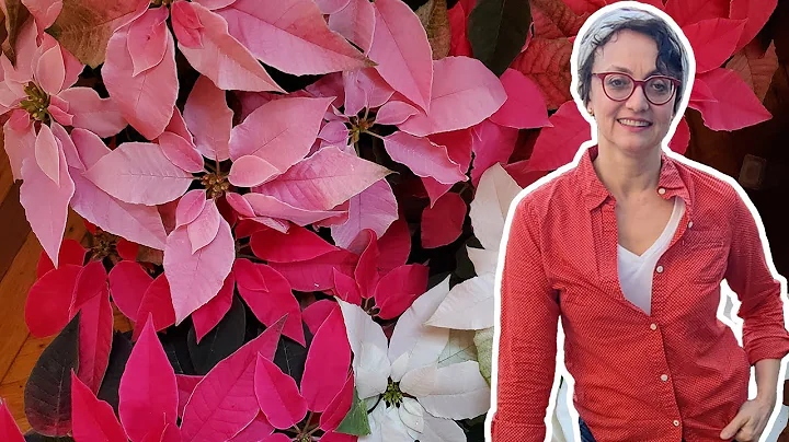 Bringing Your Garden Indoors with Carmen DeVito