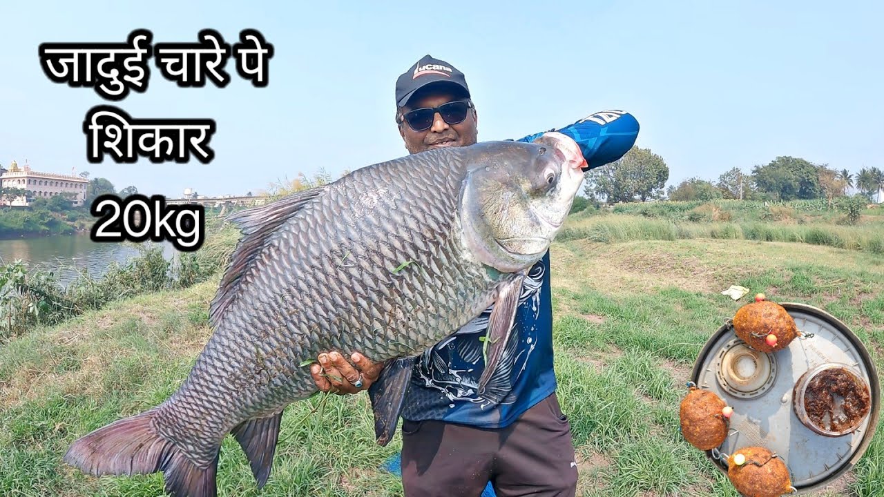Big Size Katla Catch In River | Method Feeder Fishing | Katla Fishing 