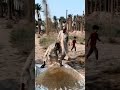 شاهد فرحة الرزق الحلال الي جاي بتعب ياعلي مولا ع ل يہ الس لام ميسان  1