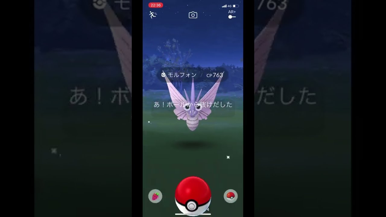 ポケモンgoでモルフォンをゲット Youtube ポケモンgoでモルフォンをゲット Youtube
