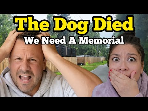 The Dog Died - We Need A Memorial
