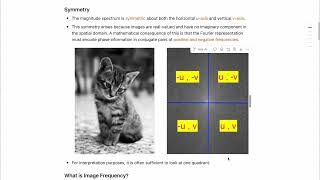 Lesson 4, Part 1: Interpreting the Magnitude Spectrum