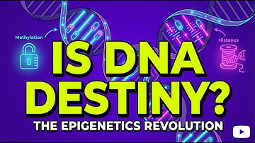 Can You Inherit Trauma? The Epigenetics Revolution Explained