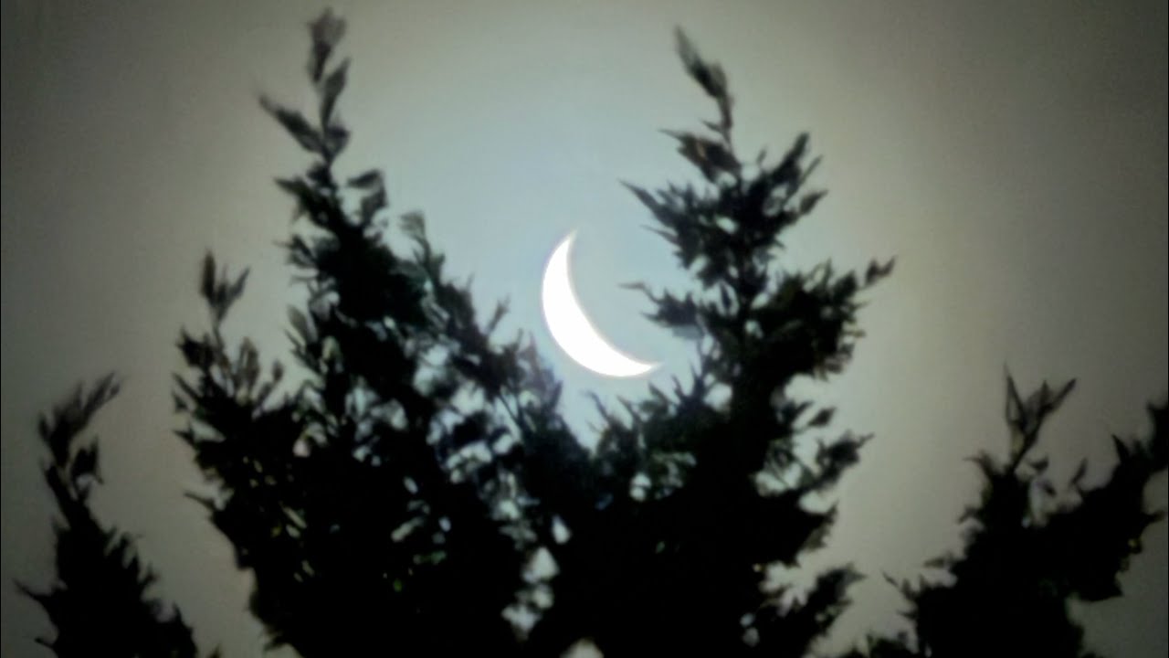 Libra ♎️ 3- Jan/Feb Wizard of Oz - The Storm 🌪️- The gut feeling Will not be ignored 