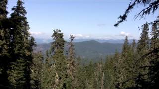 Part 1/12 Introduction-What Role Does the Forest Play in the Carbon Cycle