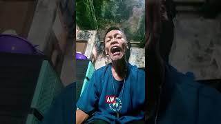 lagu aldy Aku punya dodol cinta buat janda itu