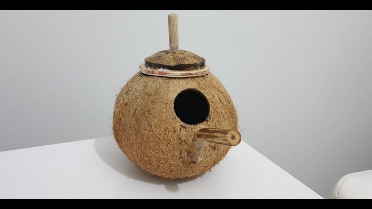 Hindistan Cevizinden Kuş Yuvası Yapımı