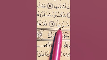 سورة الشمس بصوت القارئ علاء عقل