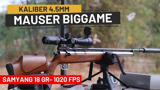 Mauser Biggame Call .177 Power & Akurasi Terbaik - Pesanan Khusus