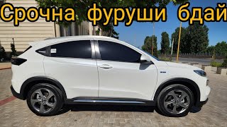 Срочна фуруши бдай харакат кне бародарчоно ай даст натие Мишина(23.10.2025)