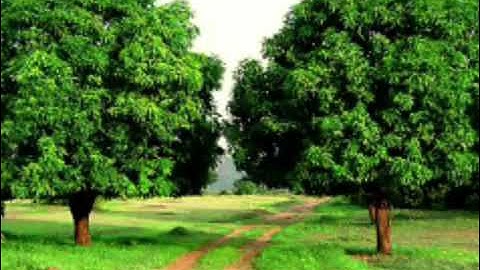 تلاوة خاشعة من الحجاز بصوت الشيخ أحمد الفقيه يتلو سورة الفاتحة وما تيسر من سورة الزمر 🌾