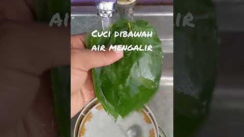 Manfaat Daun Kersen Untuk Mengobati Asam Urat #Shorts #asamurat #remedy