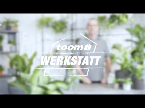 Video: Solltest du Dieffenbachia besprühen?