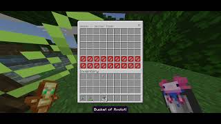 Order bug in Donut SMP!