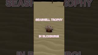 how to find the SEASHELL TROPHY in BLOXBURG! #bloxburg #roblox