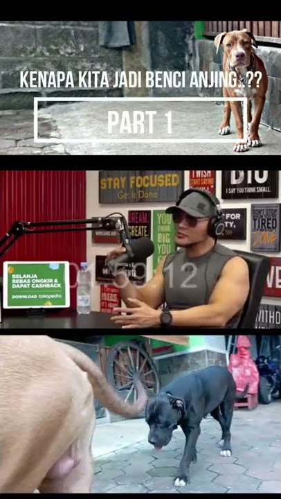 KENAPA KITA JADI BENCI ANJING?? Part 1