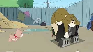 The Tom And Jerry Show Junkyard Dog👌👌 screenshot 4
