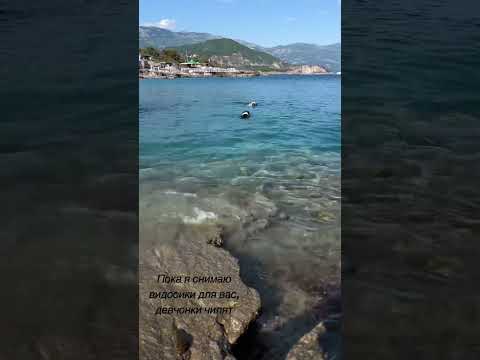 #дрессировкащенка #трюки #dog #дрессировка #dogfitness #montenegro