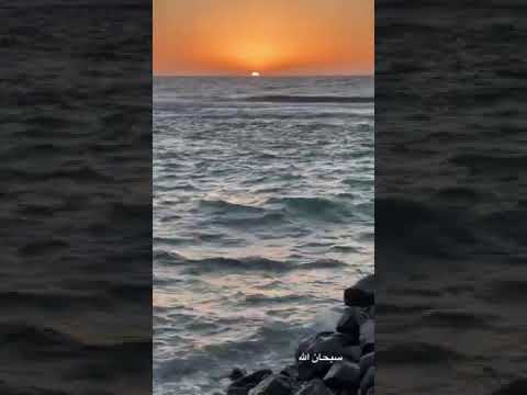 أتدري من يزيل الهم إن ضاقت بك الدنيا ومن يرعاك لا ينساك