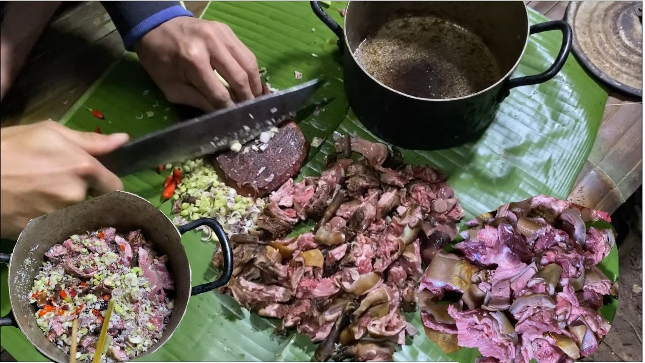 3 ngày 2 đêm Kiếm ăn trong rừng may mắn toàn thịt rừng & kiếm ăn mùa lạnh | Nhiệt Đới Vlog