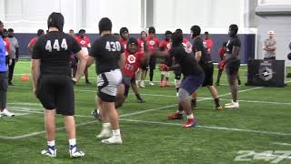 Aaryn Parks The Opening