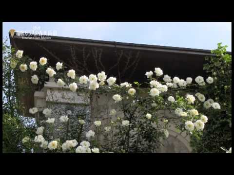 日本神奈川箱根玻璃之森美術館 Youtube 日本神奈川箱根玻璃之森美術館 Youtube