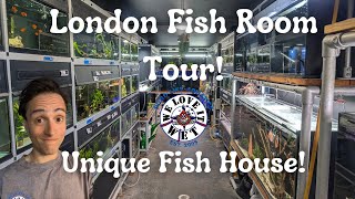 Fish Room Tour  Exciting New Stock at Pond Life Aquatics London!