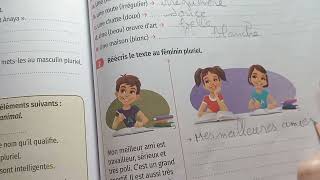 les exercices  de l'orthographe page 133  5 e Mes apprentissages en français