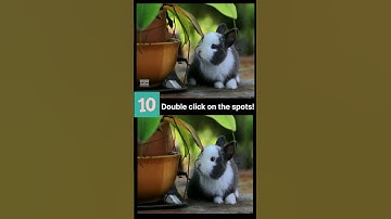 Can You Spot 3 Differences in 10 Seconds? 👀🔍