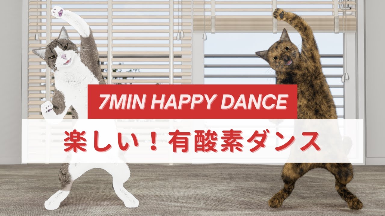 楽しく踊っていい運動！猫と一緒に有酸素ダンス😸