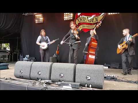 Henhouse Prowlers  -  Live at Zomerparkfeest - Venlo