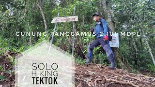 GUNUNG TANGGAMUS 2.101 mdpl || Solo Hiking || Pendakian Sendirian TekTok pulang pergi ||